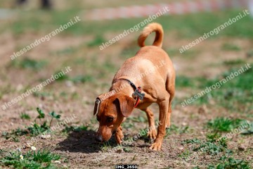 IMG_2650.jpg