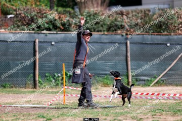 IMG_2701.jpg
