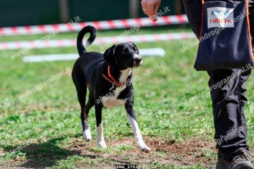 IMG_2752.jpg