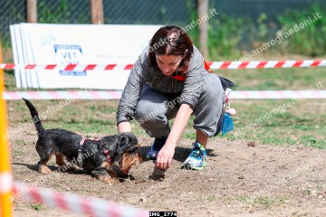 IMG_2774.jpg