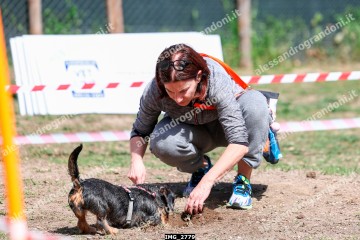 IMG_2779.jpg