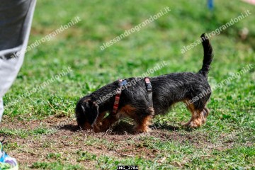 IMG_2784.jpg