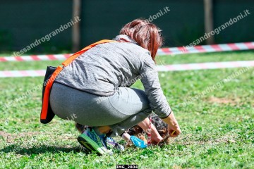 IMG_2804.jpg