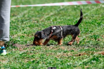 IMG_2815.jpg