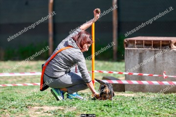IMG_2826.jpg