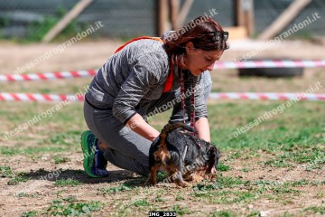 IMG_2833.jpg