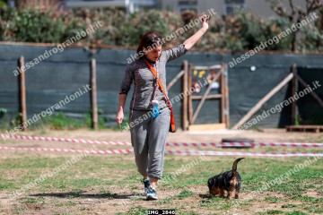 IMG_2846.jpg
