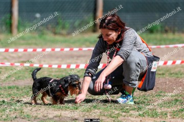 IMG_2858.jpg