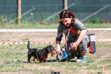 IMG_2870.jpg