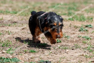 IMG_2884.jpg