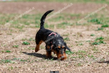 IMG_2889.jpg