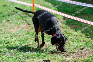 IMG_2906.jpg