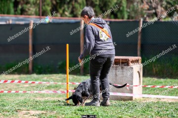 IMG_2913.jpg