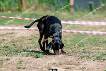 IMG_2924.jpg