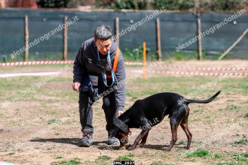 IMG_2937.jpg