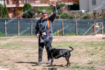 IMG_2949.jpg