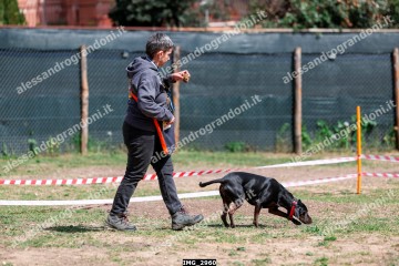 IMG_2960.jpg