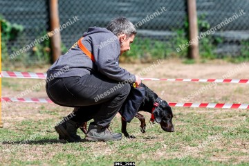 IMG_2966.jpg