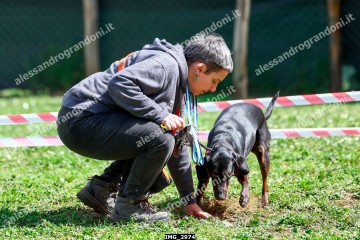 IMG_2974.jpg