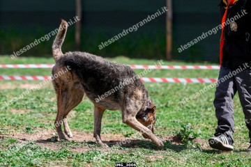 IMG_3006.jpg