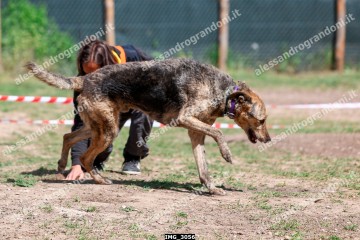 IMG_3056.jpg