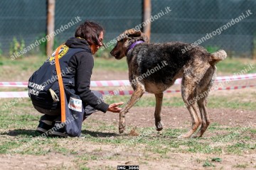 IMG_3066.jpg