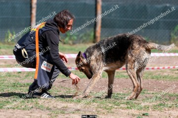 IMG_3075.jpg