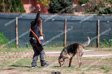 IMG_3079.jpg