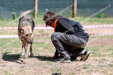 IMG_3086.jpg