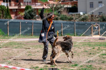 IMG_3112.jpg