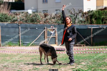 IMG_3131.jpg