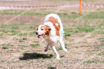 IMG_3269.jpg