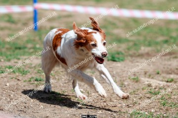 IMG_3279.jpg