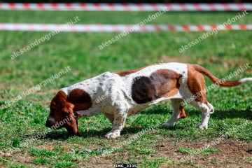 IMG_3335.jpg