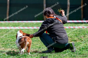 IMG_3343.jpg