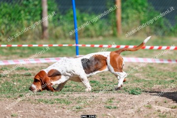 IMG_3362.jpg