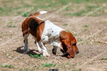 IMG_3372.jpg