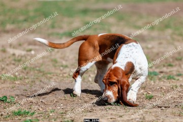 IMG_3376.jpg