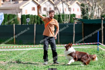 IMG_3446.jpg