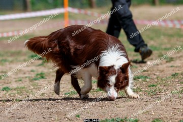 IMG_3489.jpg