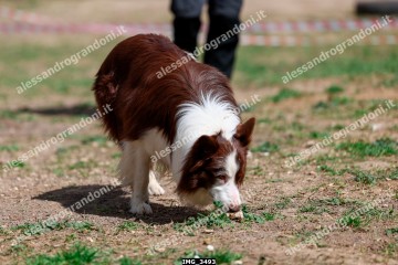 IMG_3493.jpg