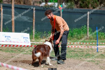 IMG_3514.jpg