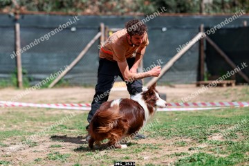 IMG_3533.jpg