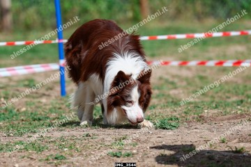 IMG_3544.jpg