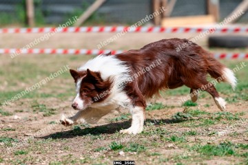 IMG_3566.jpg