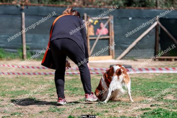 IMG_3593.jpg
