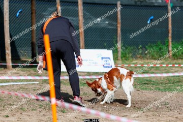 IMG_3617.jpg