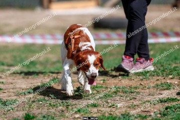 IMG_3629.jpg