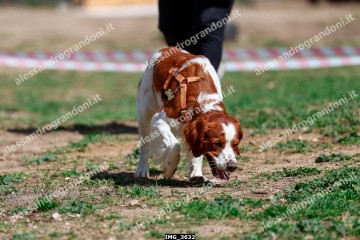 IMG_3632.jpg