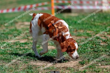 IMG_3635.jpg